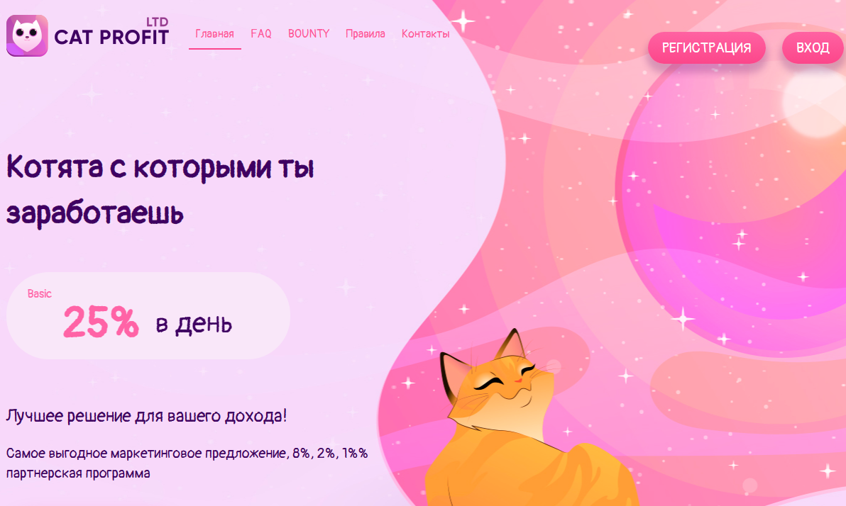 CatProfit