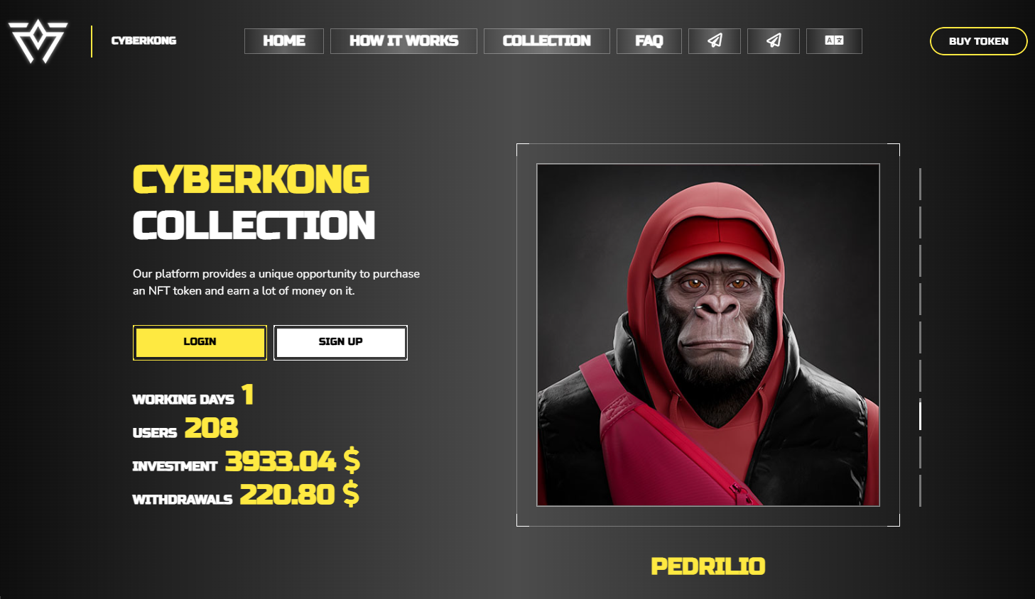 CyberKong