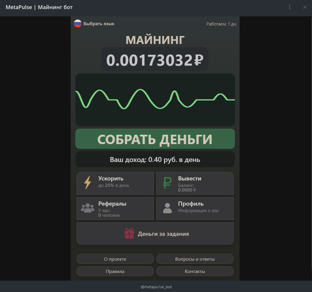Metapulse